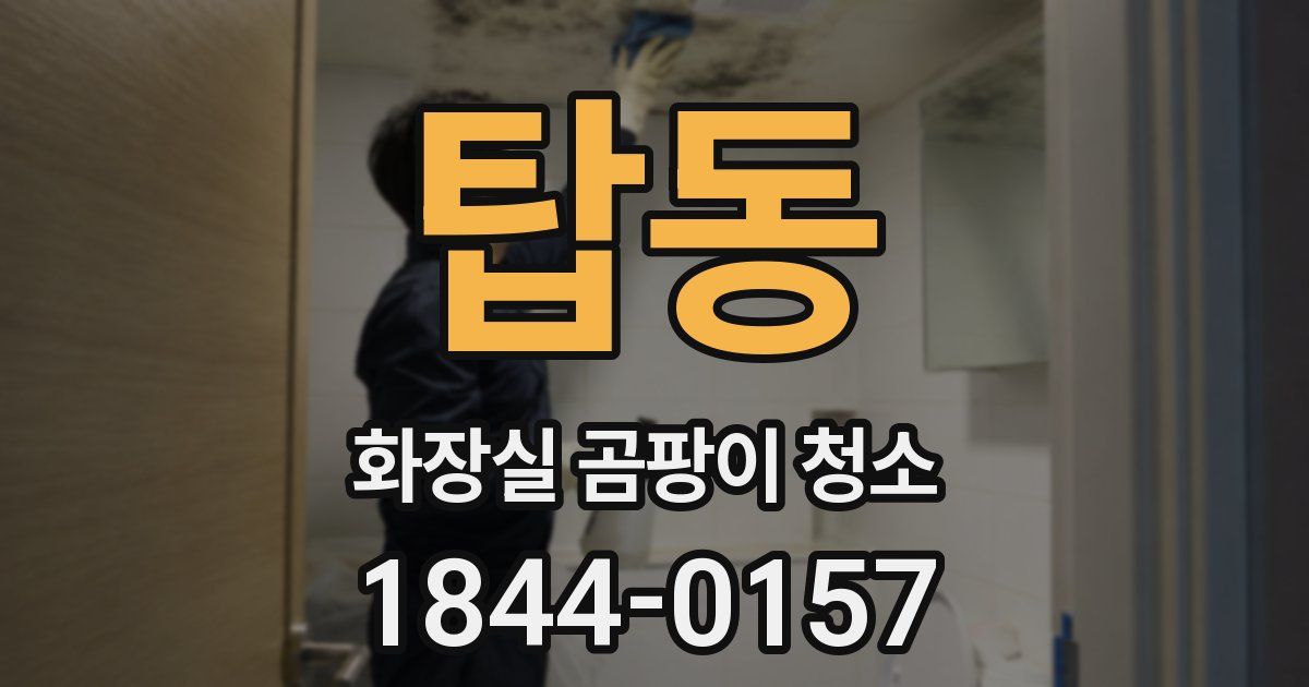 탑동 화장실 곰팡이 청소