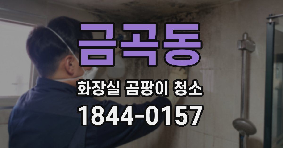 금곡동 화장실 곰팡이 청소