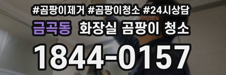 금곡동 화장실 곰팡이 청소