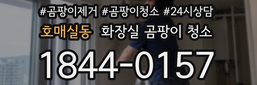 호매실동 화장실 곰팡이 청소
