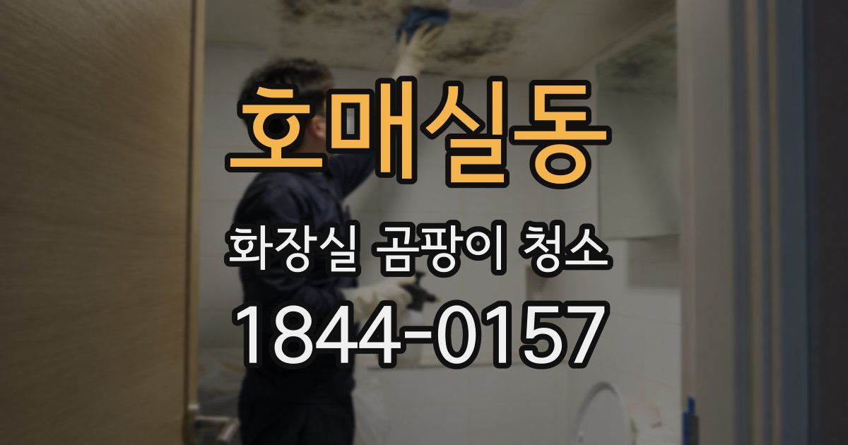 호매실동 화장실 곰팡이 청소
