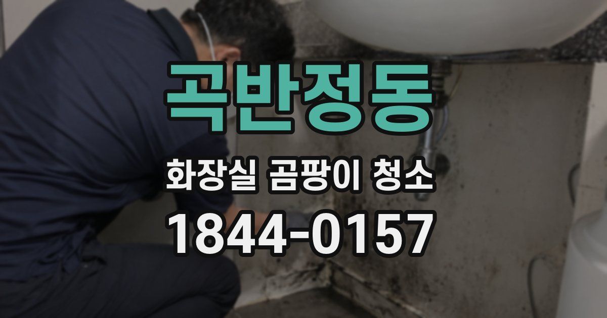 곡반정동 화장실 곰팡이 청소