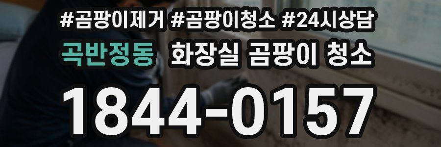 곡반정동 화장실 곰팡이 청소