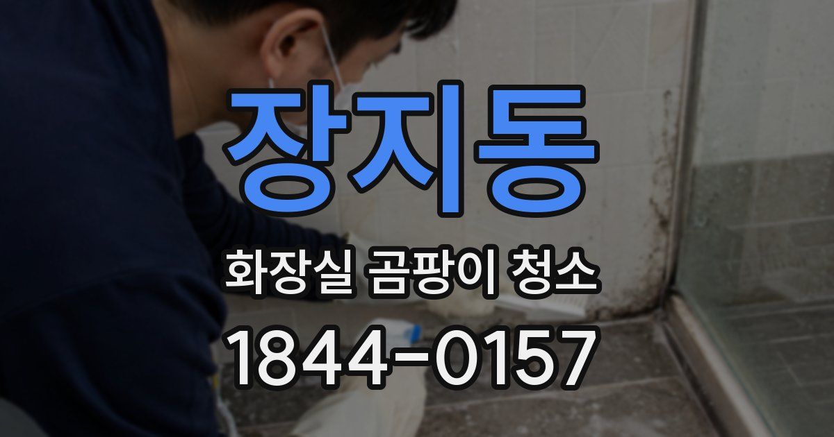 장지동 화장실 곰팡이 청소