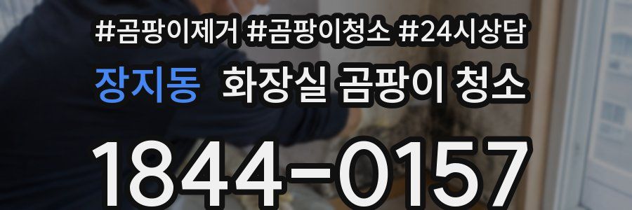 장지동 화장실 곰팡이 청소