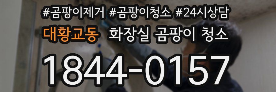 대황교동 화장실 곰팡이 청소