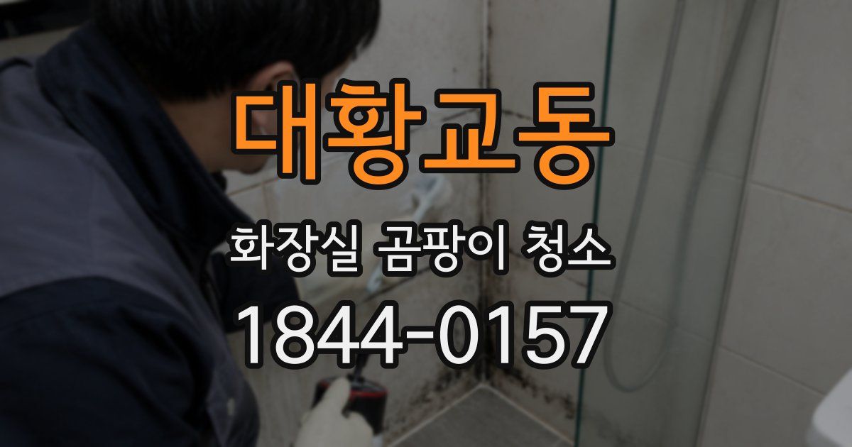 대황교동 화장실 곰팡이 청소