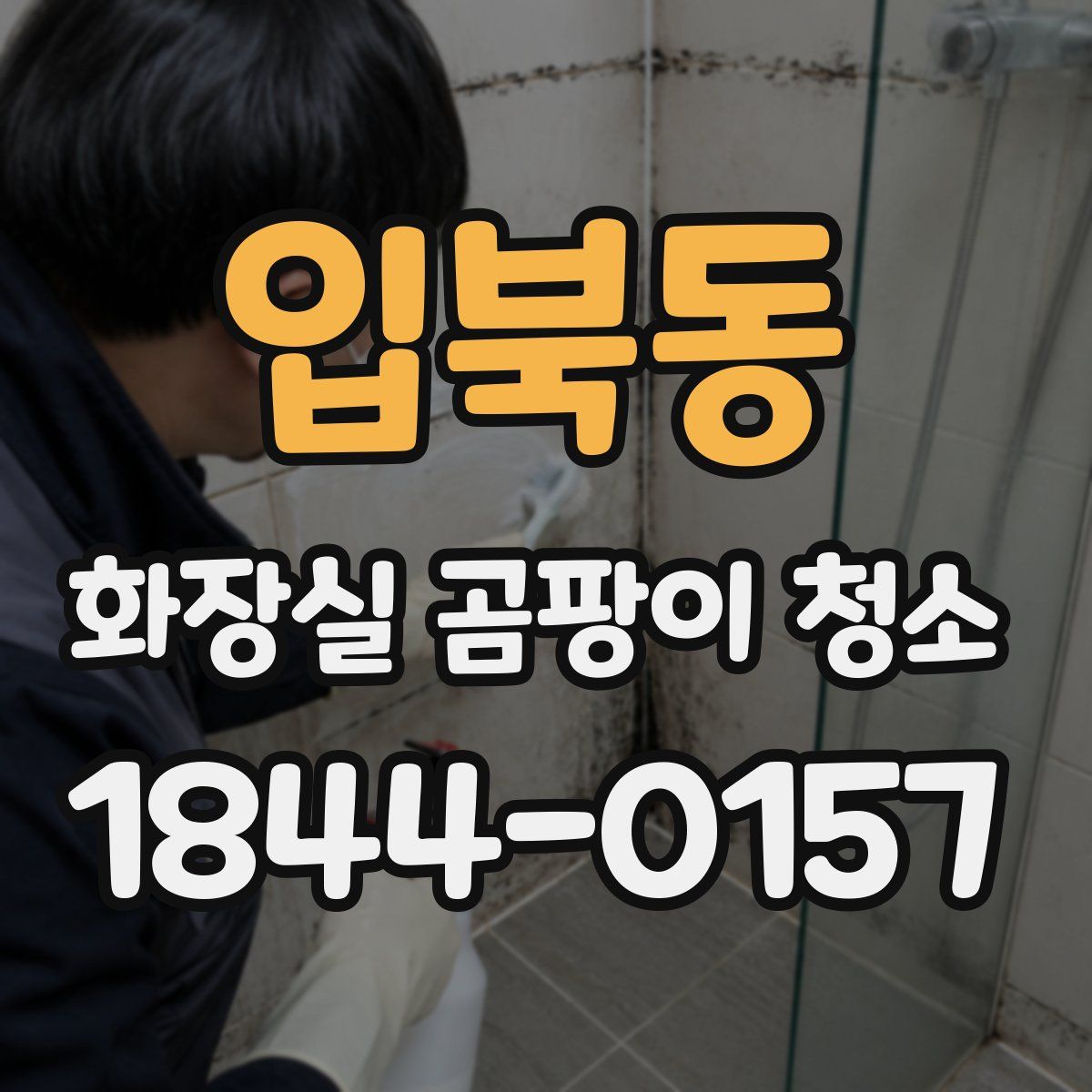 입북동 화장실 곰팡이 청소