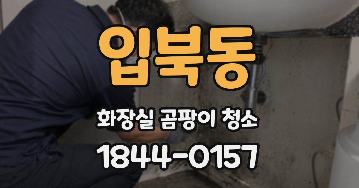 입북동 화장실 곰팡이 청소