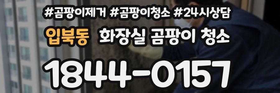 입북동 화장실 곰팡이 청소