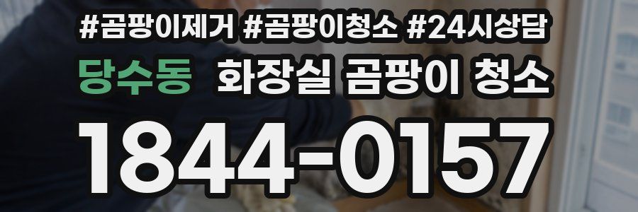 당수동 화장실 곰팡이 청소