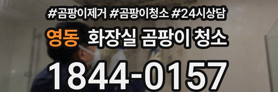 영동 화장실 곰팡이 청소