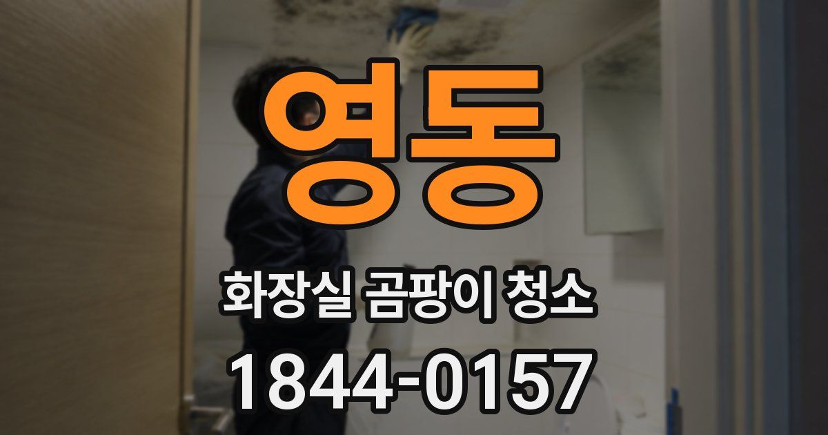영동 화장실 곰팡이 청소