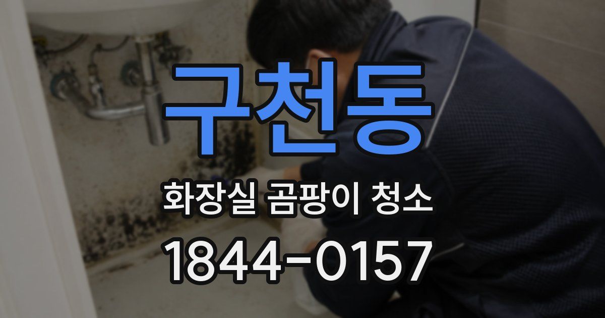 구천동 화장실 곰팡이 청소