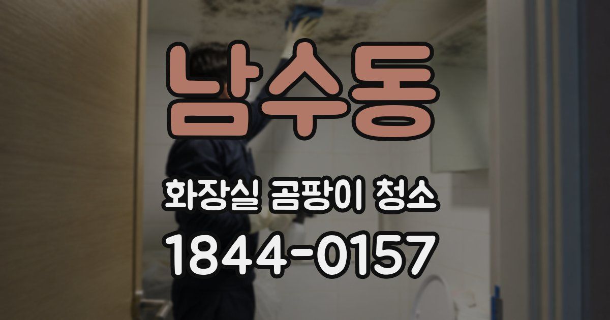 남수동 화장실 곰팡이 청소