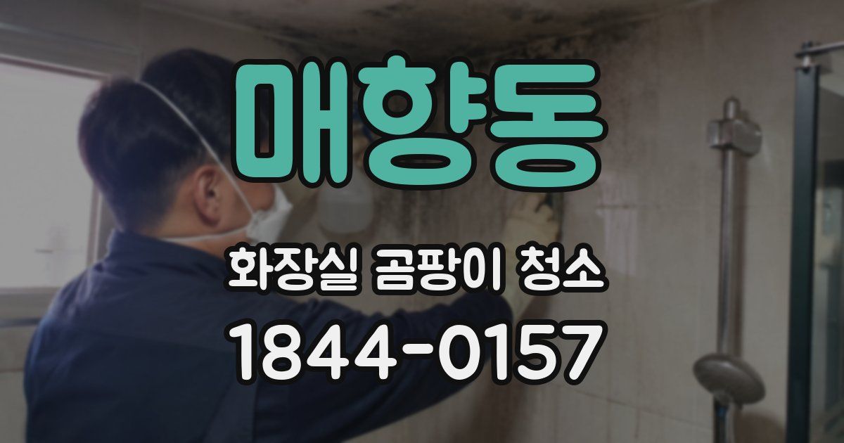매향동 화장실 곰팡이 청소