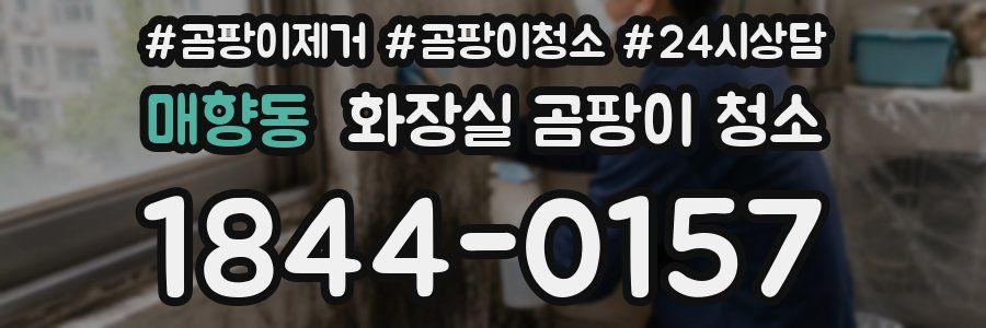 매향동 화장실 곰팡이 청소