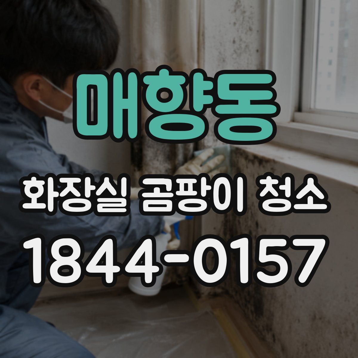 매향동 화장실 곰팡이 청소