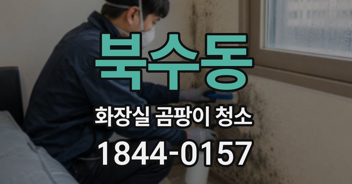 북수동 화장실 곰팡이 청소