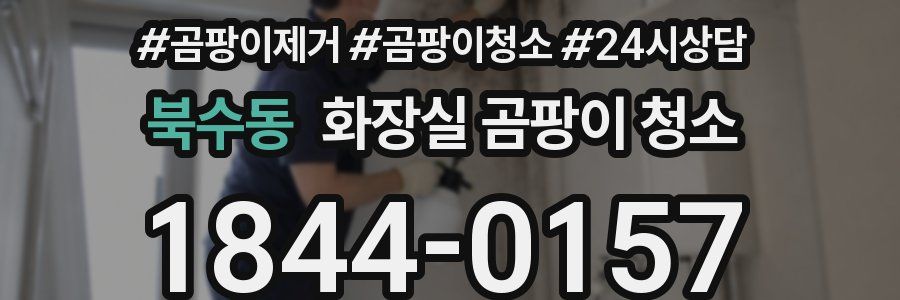 북수동 화장실 곰팡이 청소