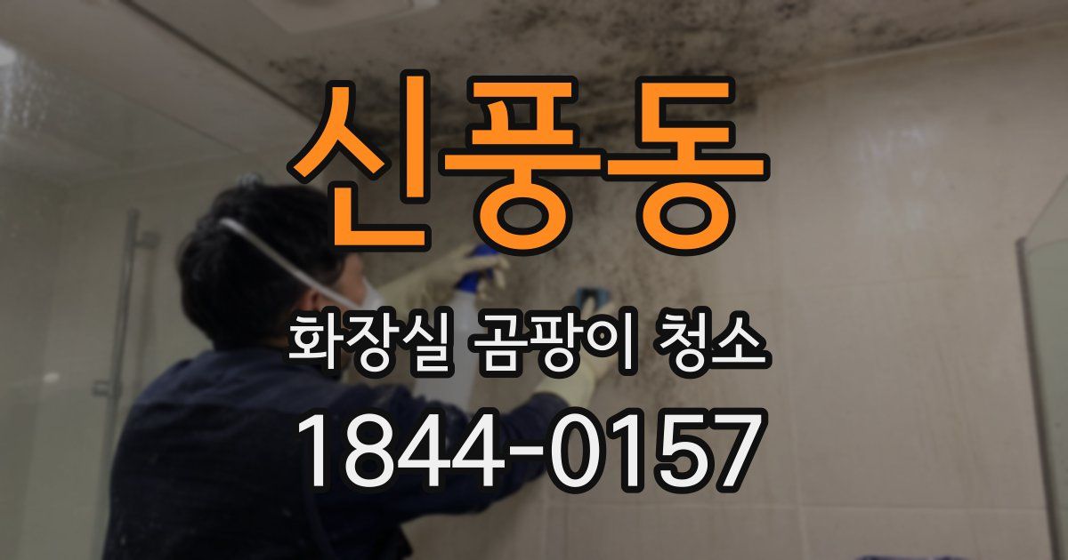 신풍동 화장실 곰팡이 청소
