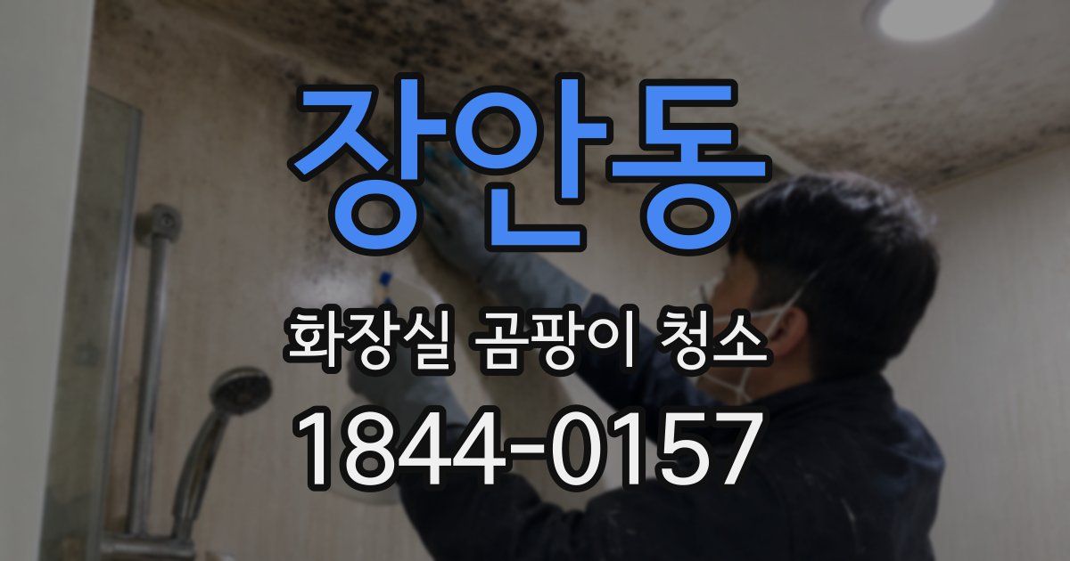 장안동 화장실 곰팡이 청소
