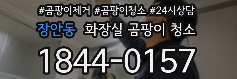장안동 화장실 곰팡이 청소