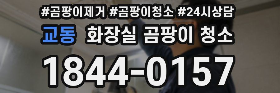 교동 화장실 곰팡이 청소