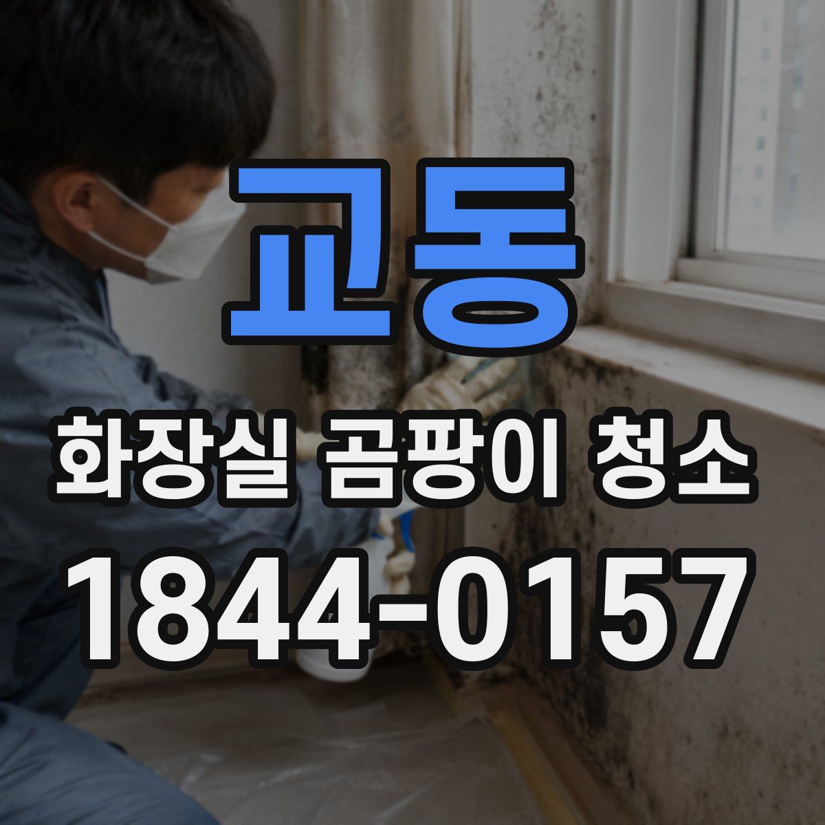 교동 화장실 곰팡이 청소