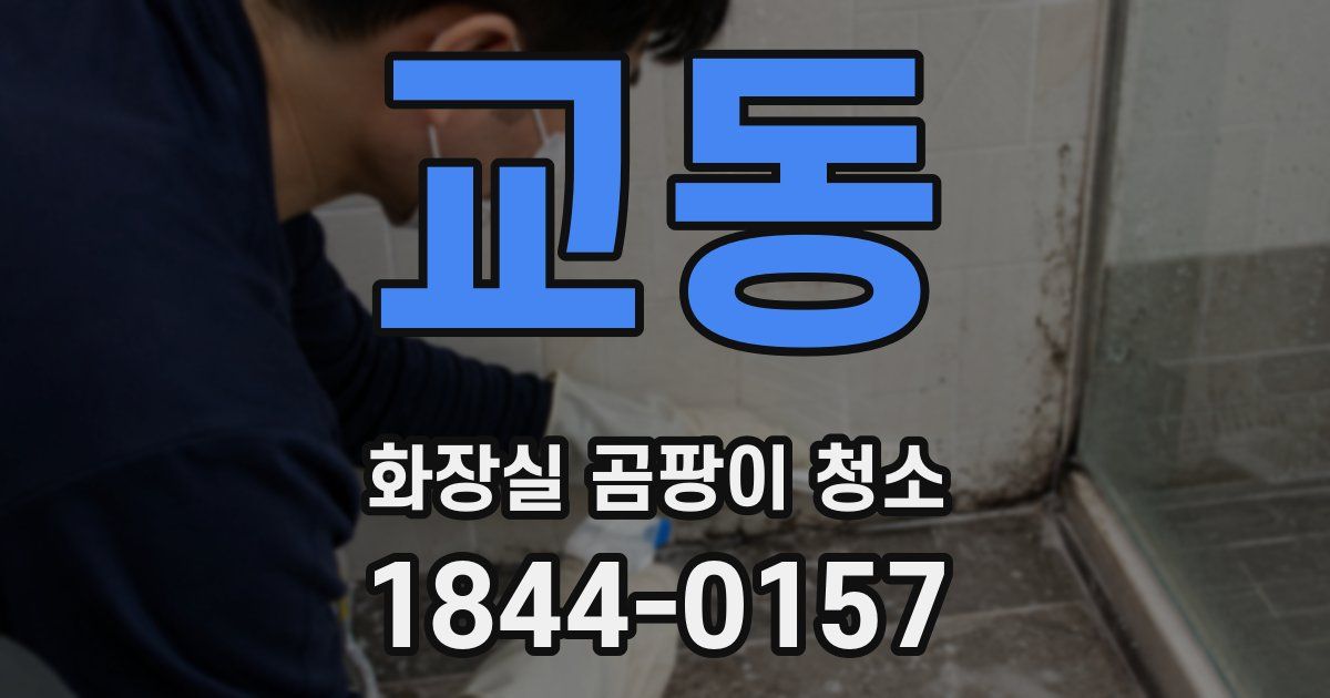 교동 화장실 곰팡이 청소