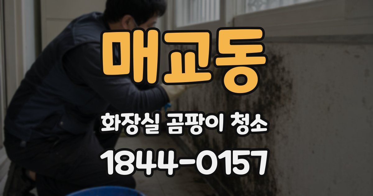 매교동 화장실 곰팡이 청소