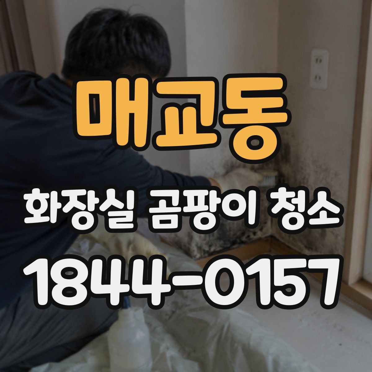매교동 화장실 곰팡이 청소