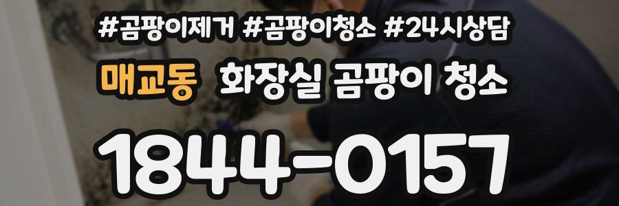 매교동 화장실 곰팡이 청소