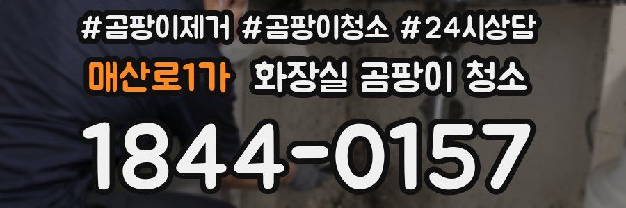 매산로1가 화장실 곰팡이 청소