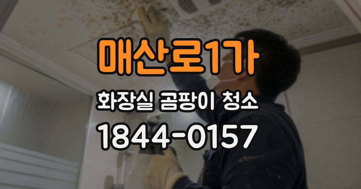 매산로1가 화장실 곰팡이 청소