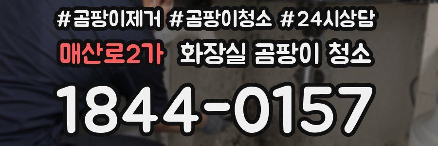 매산로2가 화장실 곰팡이 청소