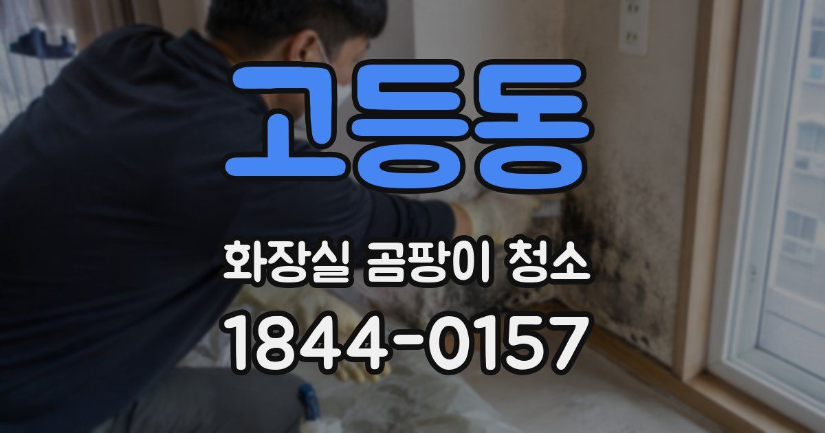 고등동 화장실 곰팡이 청소