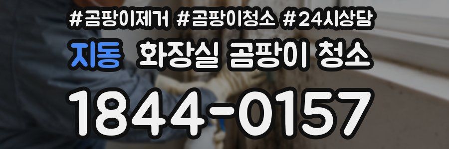 지동 화장실 곰팡이 청소