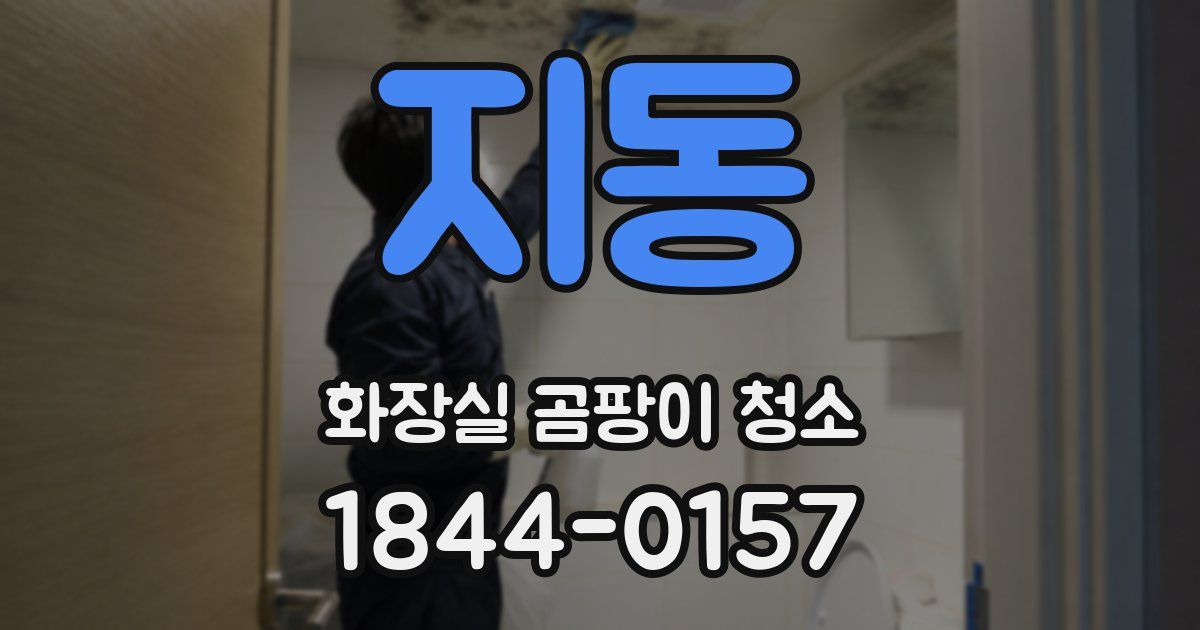지동 화장실 곰팡이 청소