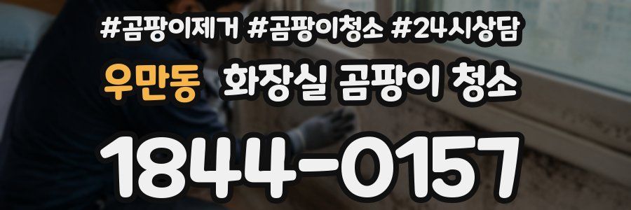우만동 화장실 곰팡이 청소