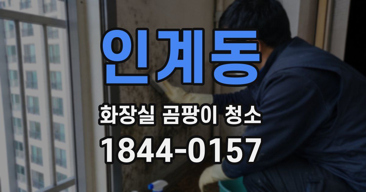 인계동 화장실 곰팡이 청소