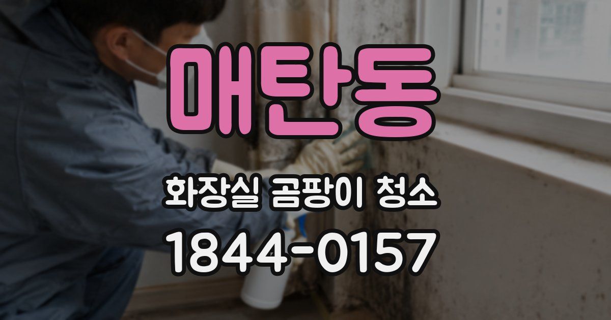 매탄동 화장실 곰팡이 청소