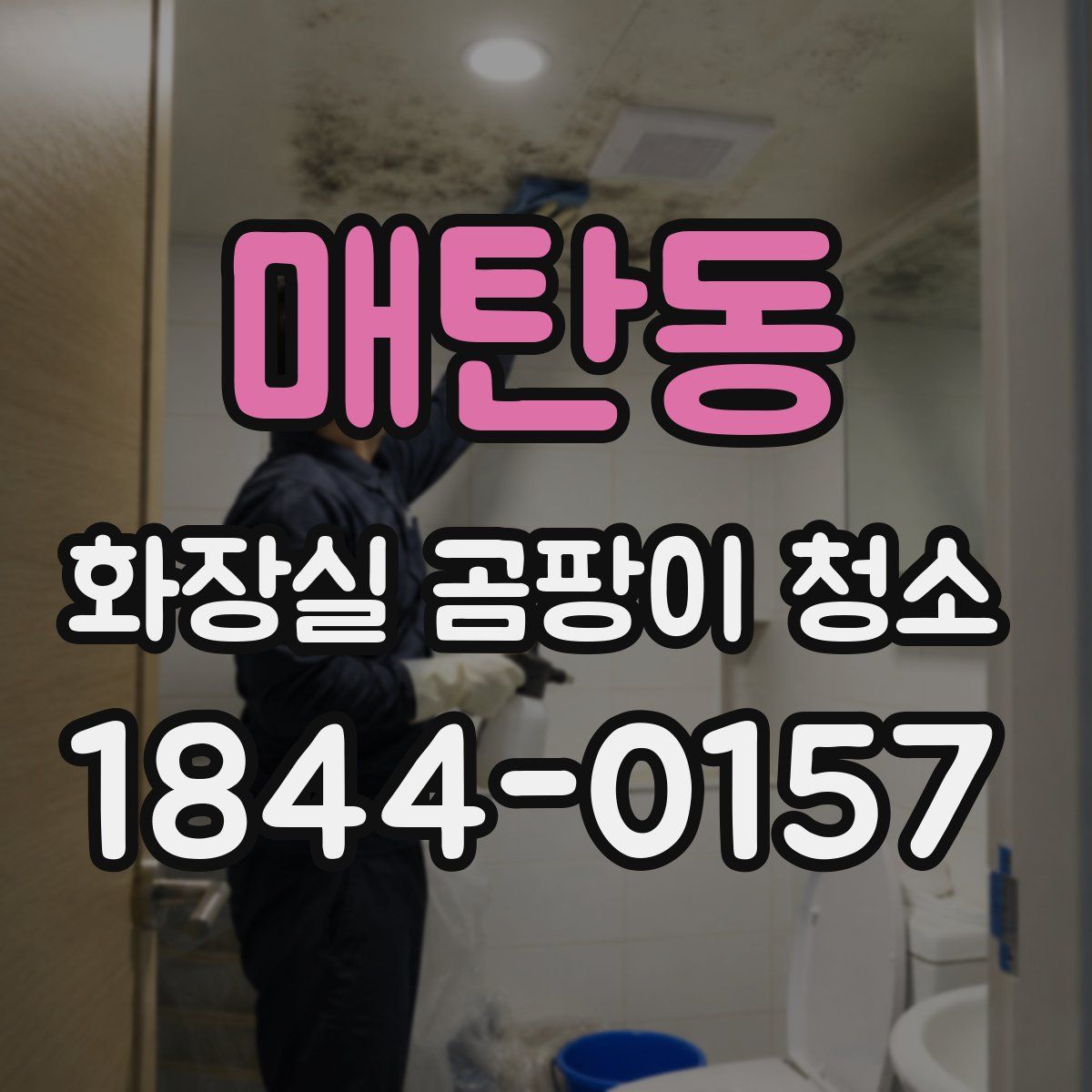 매탄동 화장실 곰팡이 청소