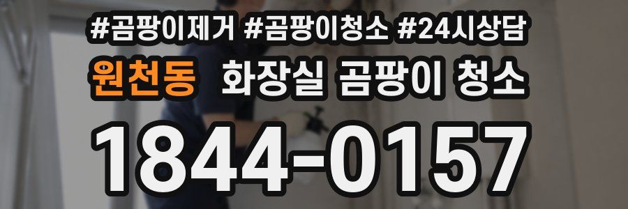 원천동 화장실 곰팡이 청소