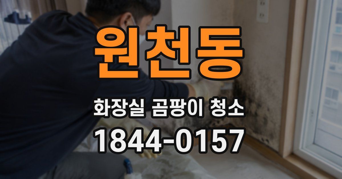 원천동 화장실 곰팡이 청소