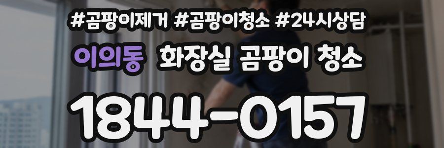 이의동 화장실 곰팡이 청소