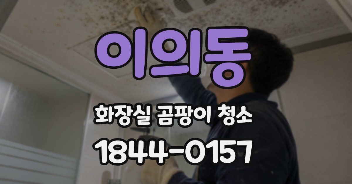 이의동 화장실 곰팡이 청소