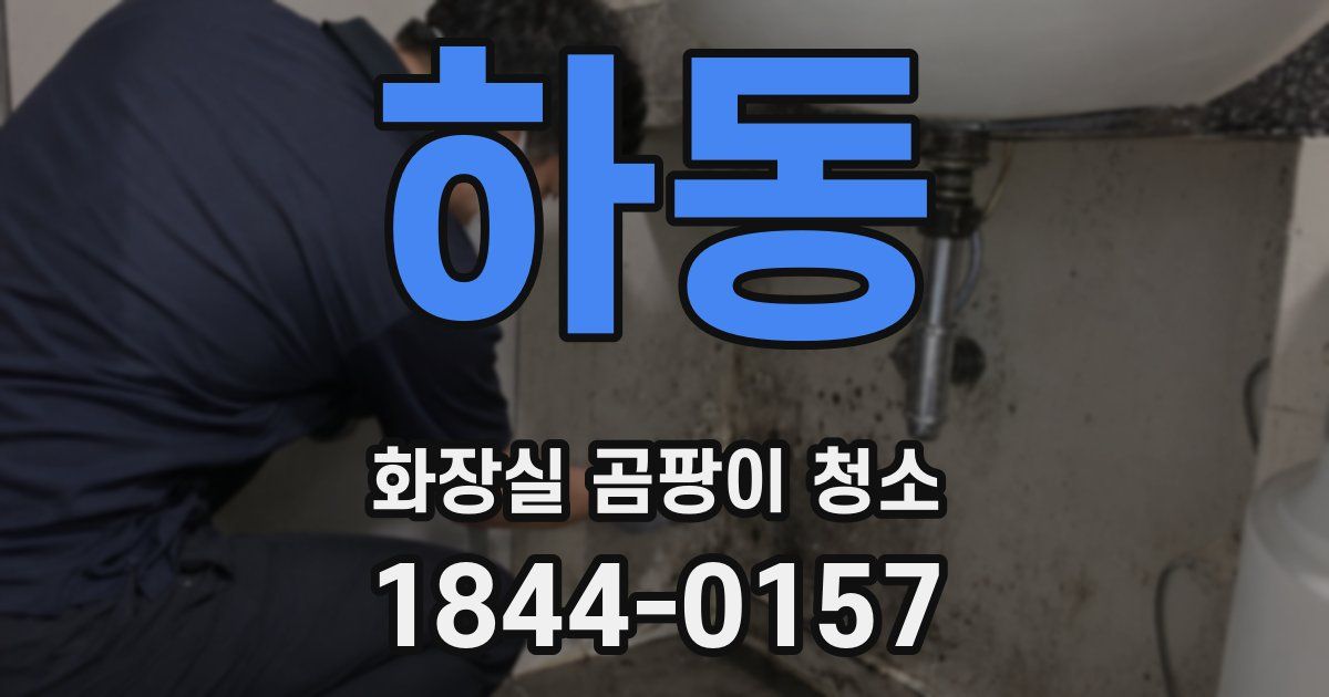 하동 화장실 곰팡이 청소