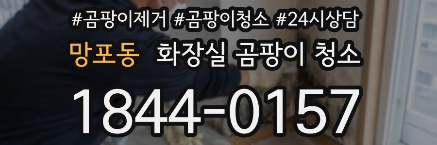 망포동 화장실 곰팡이 청소