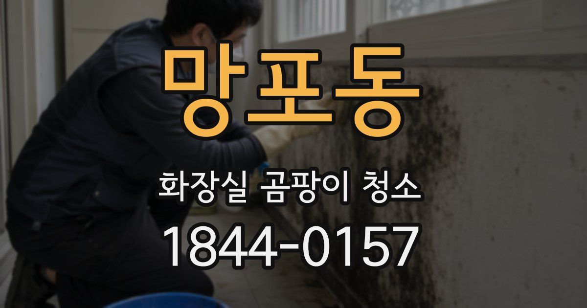 망포동 화장실 곰팡이 청소